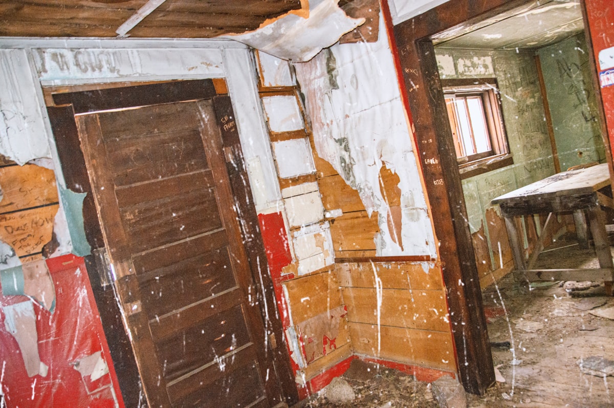 Flood Cleanup service in Normal, IL